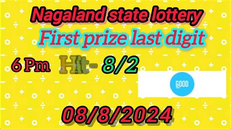 First prize last digit 31/08/2024 Nagaland lottery Target Number .